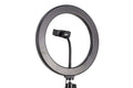 10 Inch LED Fill Light Professional Live Streaming Kit with Ring Light and Adjustable Tripod for Content Creators
